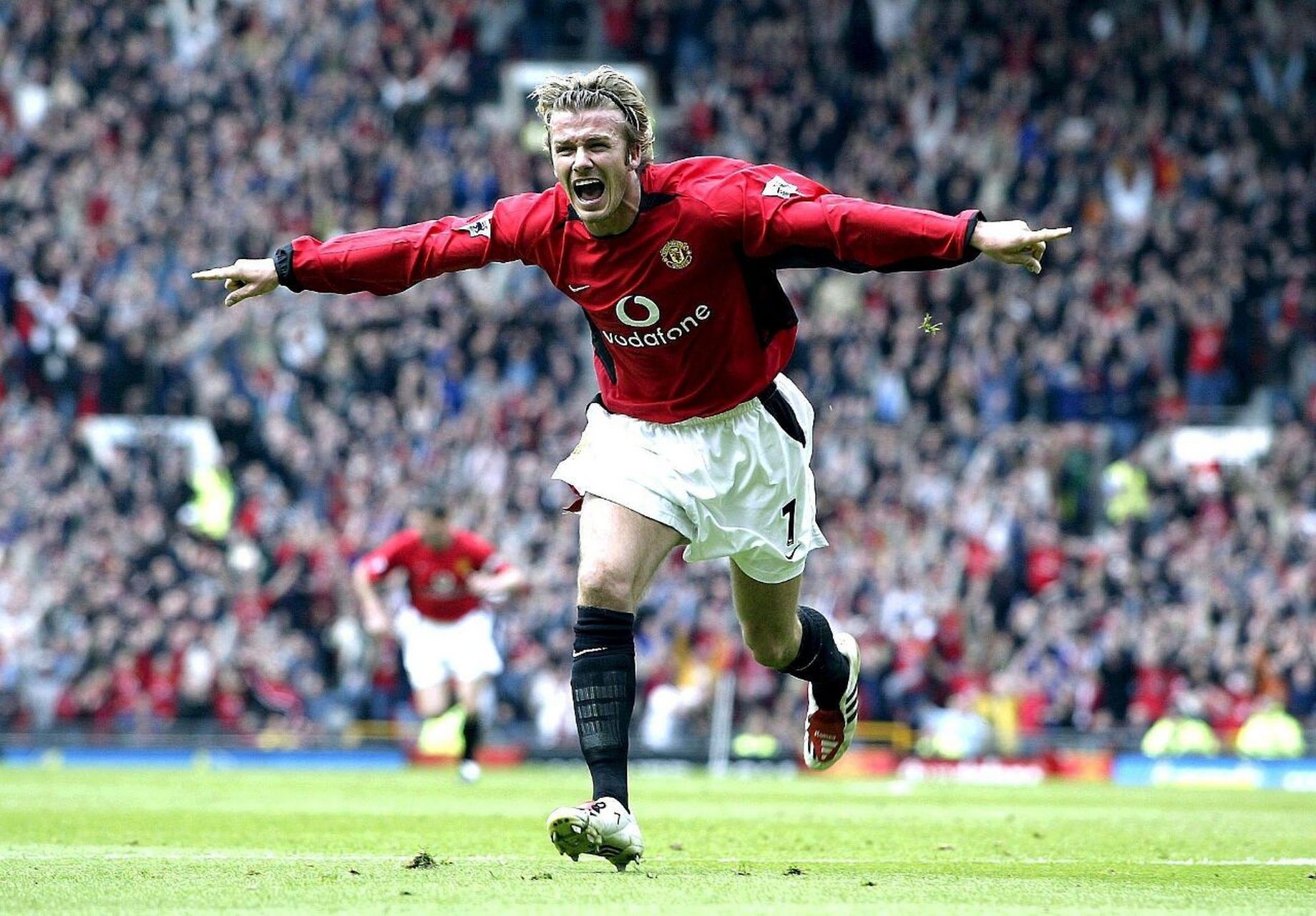 你要我帮你 你要我帮你